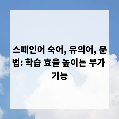 스페인어 숙어, 유의어, 문법: 학습 효율 높이는 부가 기능