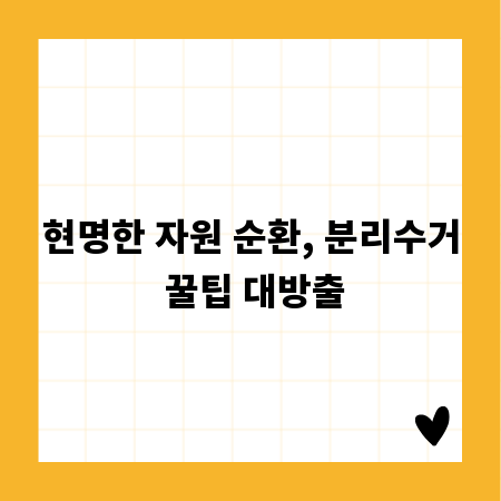 현명한 자원 순환, 분리수거 꿀팁 대방출