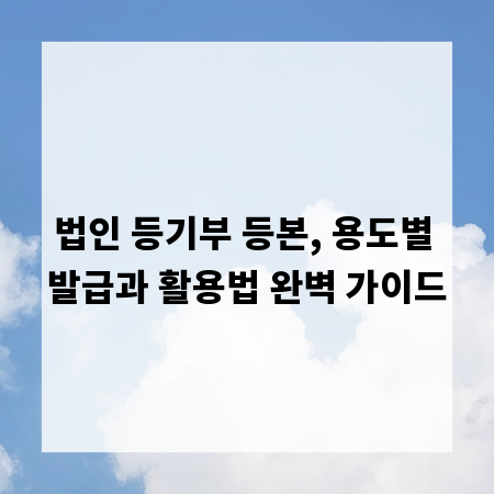 법인 등기부 등본, 용도별 발급과 활용법 완벽 가이드