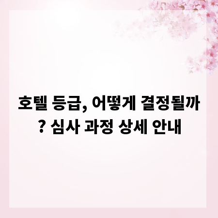 호텔 등급, 어떻게 결정될까? 심사 과정 상세 안내