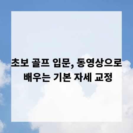 초보 골프 입문, 동영상으로 배우는 기본 자세 교정