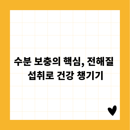 수분 보충의 핵심, 전해질 섭취로 건강 챙기기