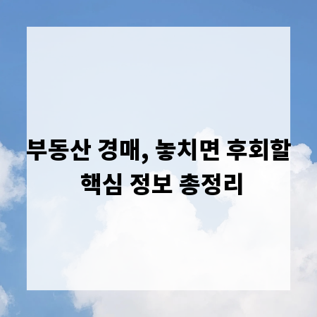 부동산 경매, 놓치면 후회할 핵심 정보 총정리