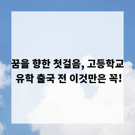 꿈을 향한 첫걸음, 고등학교 유학 출국 전 이것만은 꼭!