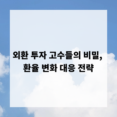 외환 투자 고수들의 비밀, 환율 변화 대응 전략