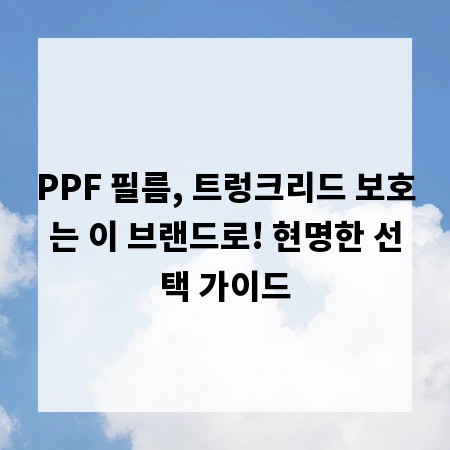 PPF 필름, 트렁크리드 보호는 이 브랜드로! 현명한 선택 가이드