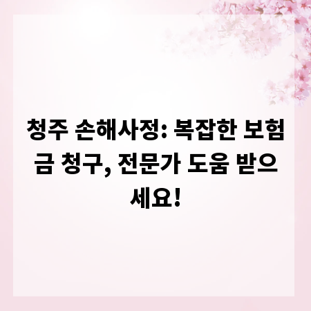 청주 손해사정: 복잡한 보험금 청구, 전문가 도움 받으세요!