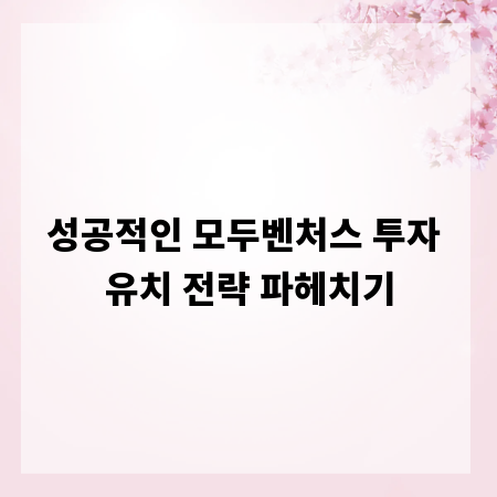 성공적인 모두벤처스 투자 유치 전략 파헤치기