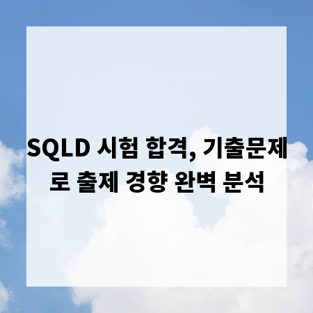 SQLD 시험 합격, 기출문제로 출제 경향 완벽 분석
