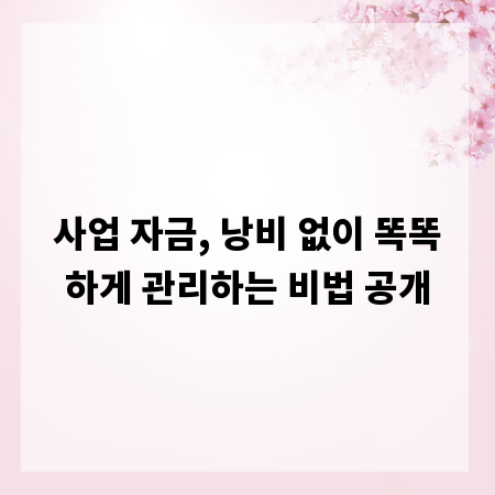 사업 자금, 낭비 없이 똑똑하게 관리하는 비법 공개