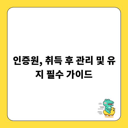 인증원, 취득 후 관리 및 유지 필수 가이드