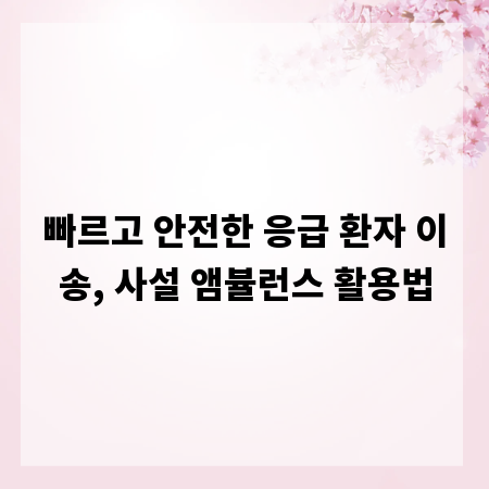 빠르고 안전한 응급 환자 이송, 사설 앰뷸런스 활용법