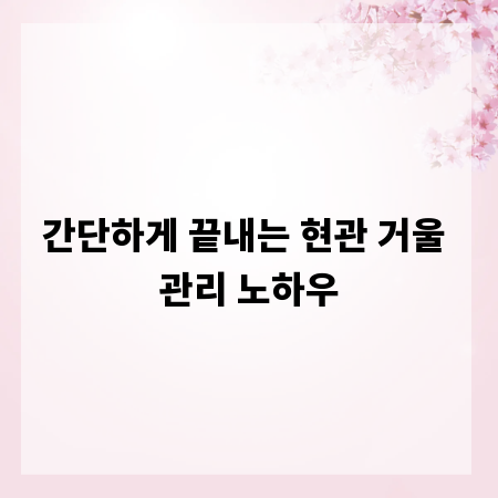 간단하게 끝내는 현관 거울 관리 노하우