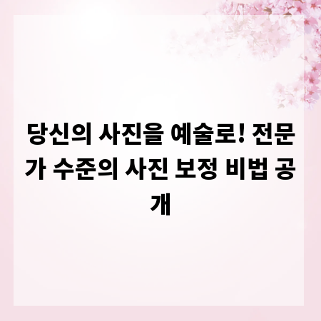 당신의 사진을 예술로! 전문가 수준의 사진 보정 비법 공개