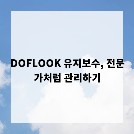 DOFLOOK 유지보수, 전문가처럼 관리하기