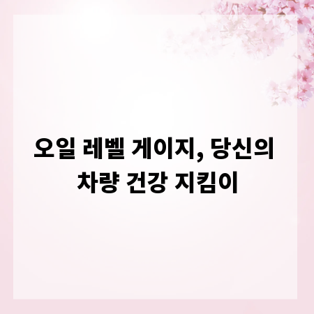 오일 레벨 게이지, 당신의 차량 건강 지킴이