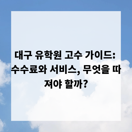 대구 유학원 고수 가이드: 수수료와 서비스, 무엇을 따져야 할까?