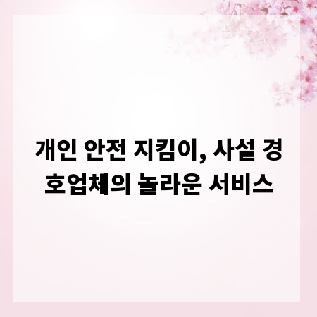 개인 안전 지킴이, 사설 경호업체의 놀라운 서비스