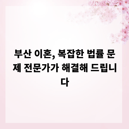 부산 이혼, 복잡한 법률 문제 전문가가 해결해 드립니다