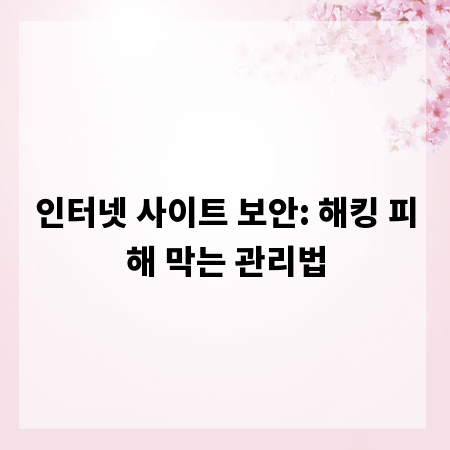 인터넷 사이트 보안: 해킹 피해 막는 관리법
