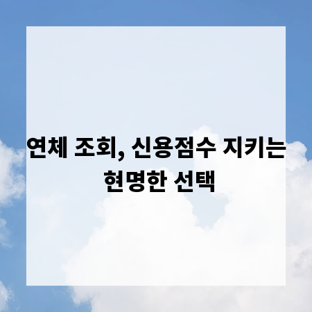 연체 조회, 신용점수 지키는 현명한 선택