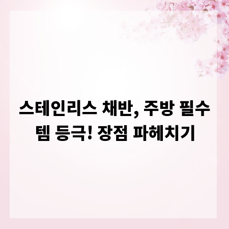 스테인리스 채반, 주방 필수템 등극! 장점 파헤치기