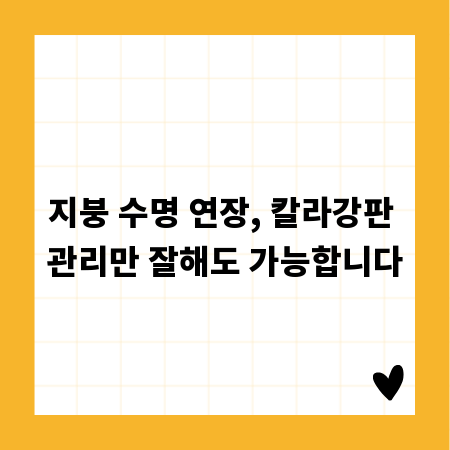 지붕 수명 연장, 칼라강판 관리만 잘해도 가능합니다