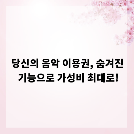 당신의 음악 이용권, 숨겨진 기능으로 가성비 최대로!