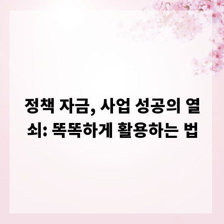 정책 자금, 사업 성공의 열쇠: 똑똑하게 활용하는 법