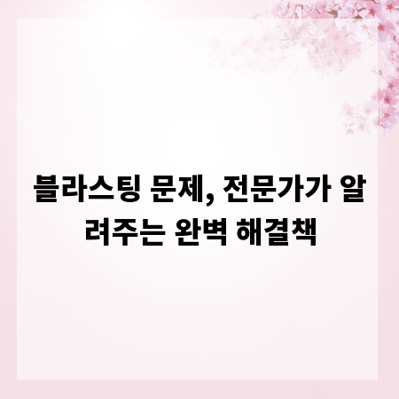 블라스팅 문제, 전문가가 알려주는 완벽 해결책