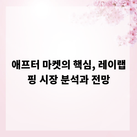 애프터 마켓의 핵심, 레이랩핑 시장 분석과 전망