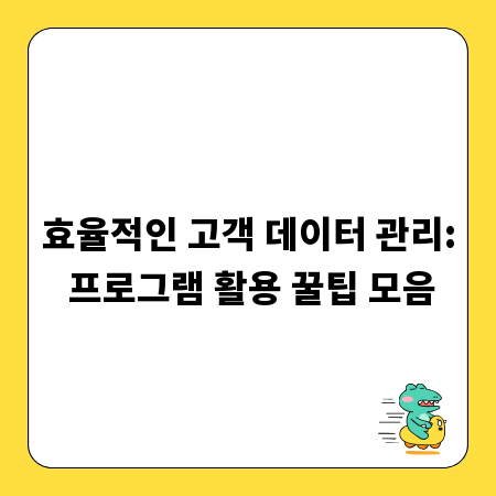 효율적인 고객 데이터 관리: 프로그램 활용 꿀팁 모음