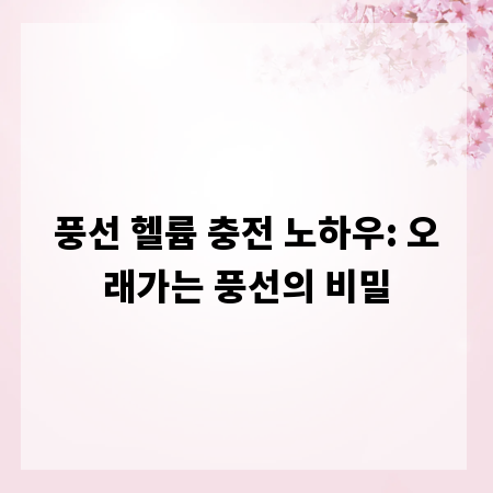 풍선 헬륨 충전 노하우: 오래가는 풍선의 비밀