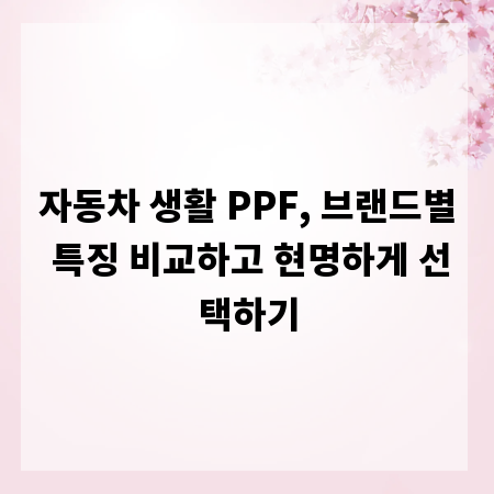 자동차 생활 PPF, 브랜드별 특징 비교하고 현명하게 선택하기