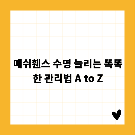 메쉬휀스 수명 늘리는 똑똑한 관리법 A to Z