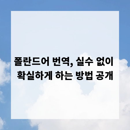 폴란드어 번역, 실수 없이 확실하게 하는 방법 공개