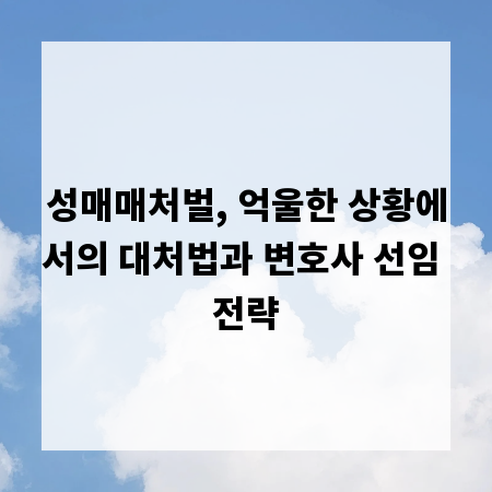 성매매처벌, 억울한 상황에서의 대처법과 변호사 선임 전략