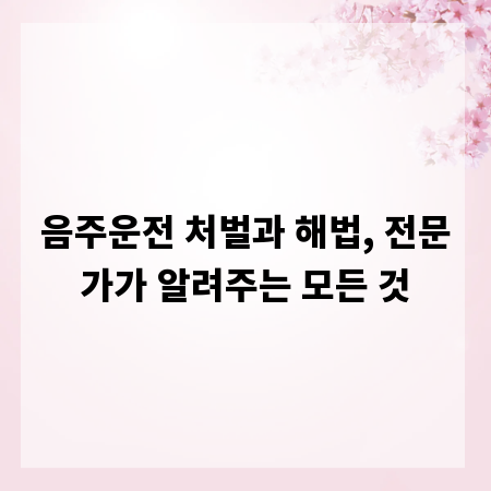 음주운전 처벌과 해법, 전문가가 알려주는 모든 것