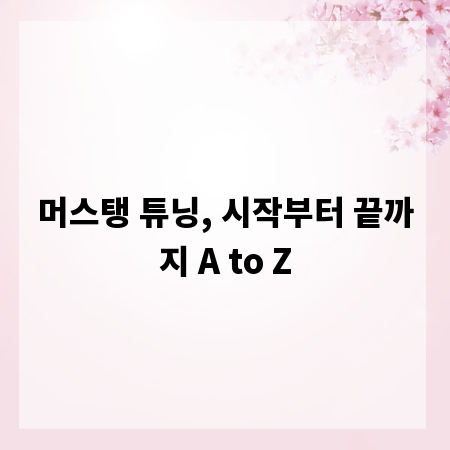 머스탱 튜닝, 시작부터 끝까지 A to Z