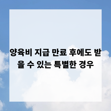 양육비 지급 만료 후에도 받을 수 있는 특별한 경우