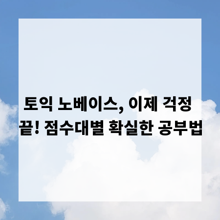 토익 노베이스, 이제 걱정 끝! 점수대별 확실한 공부법