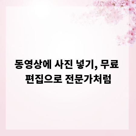 동영상에 사진 넣기, 무료 편집으로 전문가처럼