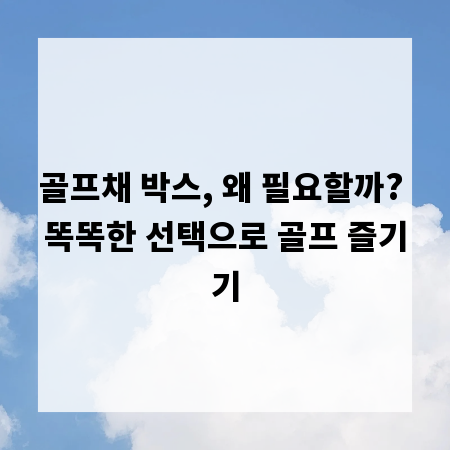 골프채 박스, 왜 필요할까? 똑똑한 선택으로 골프 즐기기