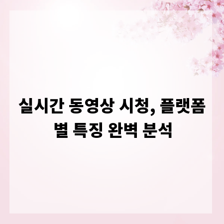 실시간 동영상 시청, 플랫폼별 특징 완벽 분석