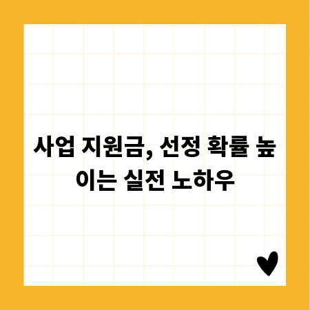 사업 지원금, 선정 확률 높이는 실전 노하우