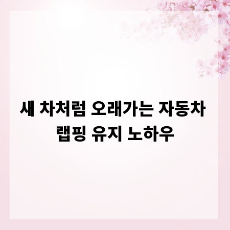 새 차처럼 오래가는 자동차 랩핑 유지 노하우