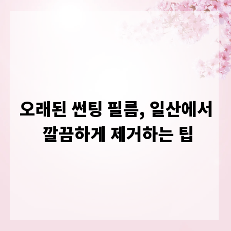 오래된 썬팅 필름, 일산에서 깔끔하게 제거하는 팁