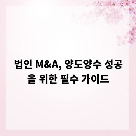 법인 M&A, 양도양수 성공을 위한 필수 가이드