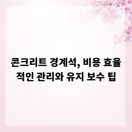 콘크리트 경계석, 비용 효율적인 관리와 유지 보수 팁