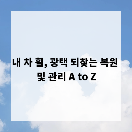 내 차 휠, 광택 되찾는 복원 및 관리 A to Z